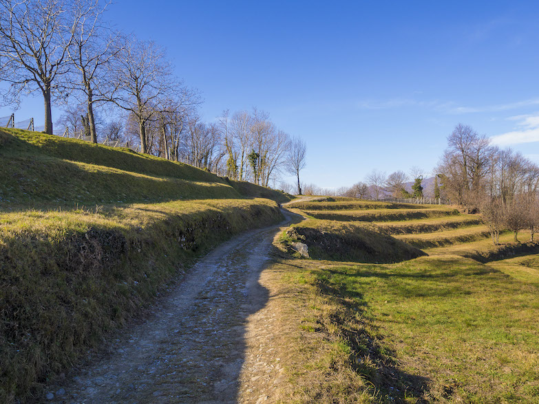 11-Itinerario Arte e Terra Castello.JPG