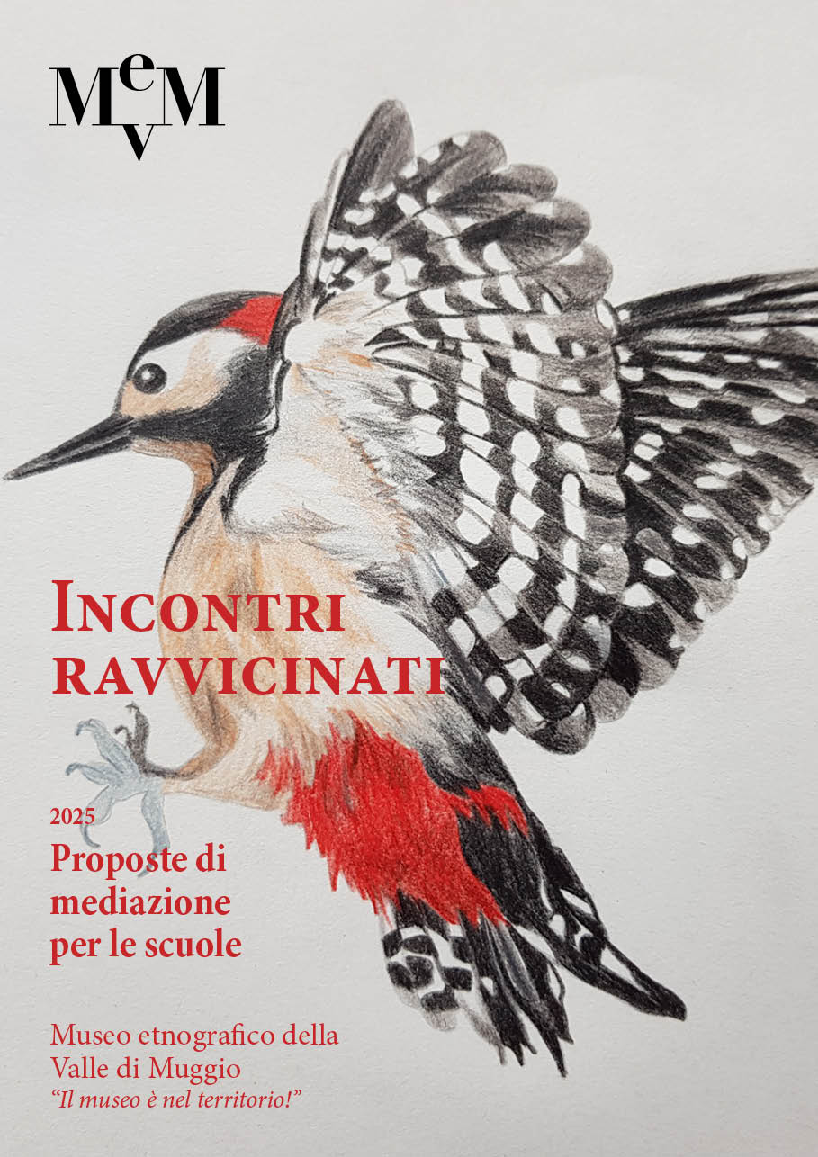 MEVM_scuole_elementari_medie_2025.jpg