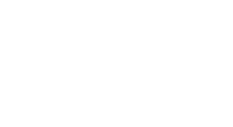 MEVM